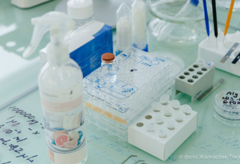 В 98 ветеринарных лабораториях страны выявлены нарушения