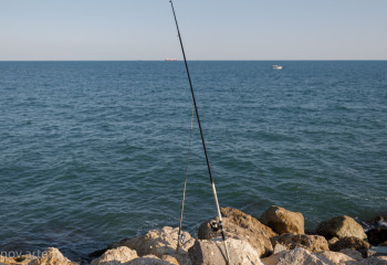 Павлодар облысында заңсыз балық аулағандар ұсталды