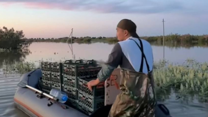  Видеодан кадр 