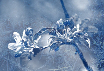 Заморозки, туман и пожарная опасность: штормовое предупреждение объявлено в РК