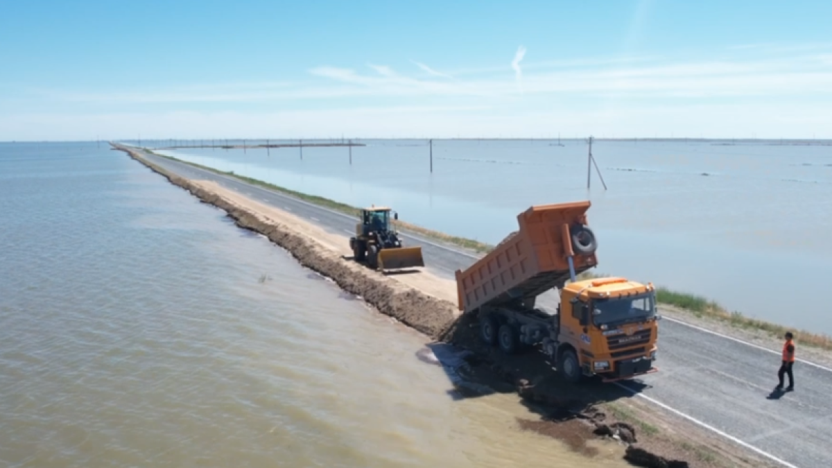  Видеодан кадр 