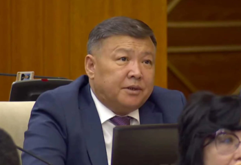 Депутат моноқаларды дамыту бағдарламасын қайта іске қосуды сұрады