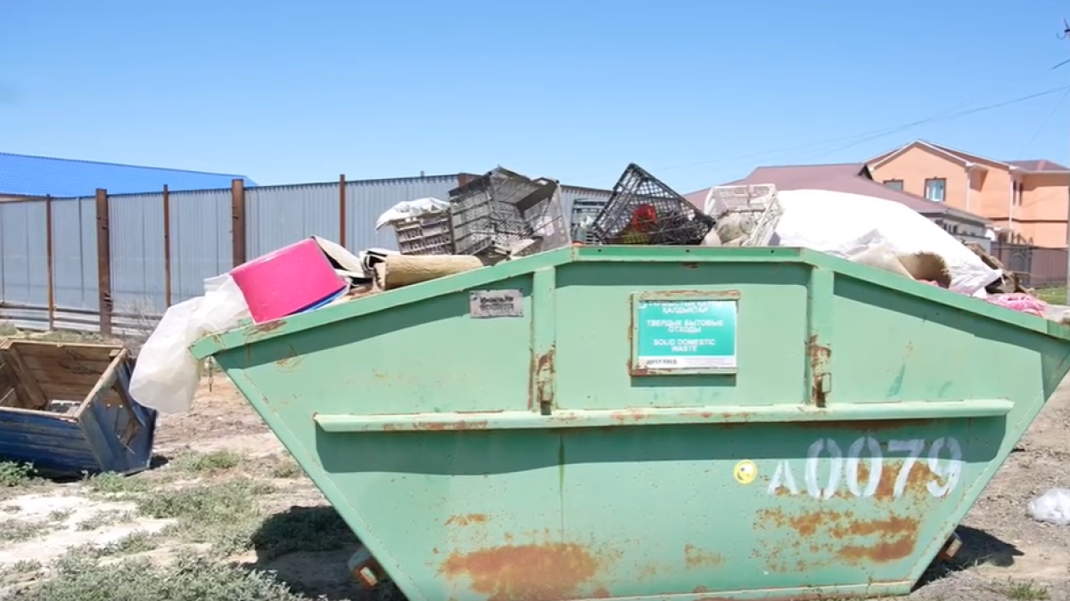  Видеодан кадр 