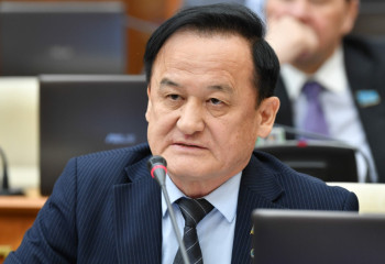 Үкіметтің жауабын оқу үшін алдымен «давленияны» өлшету керек  – депутат