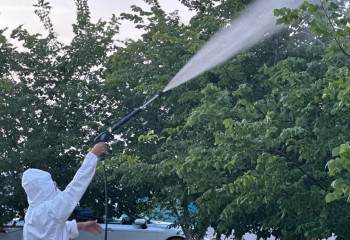 Ақтауда жасыл желектерді химиялық өңдеу жұмыстары жалғасуда