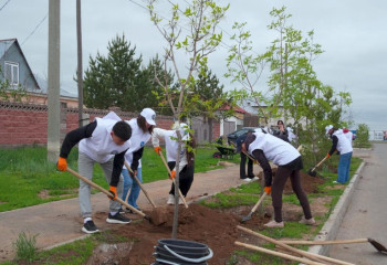 Молодежь столичной АНК посадила деревья
