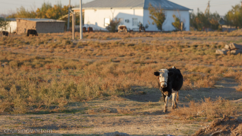  El.kz/Артем Чурсинов 