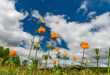 31 мамырға ауа райы болжамы