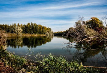 Ақмола облысында із-түзсіз жоғалған шопанның денесі табылды