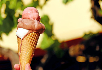 Қазақстандық балмұздақтан ішек таяқшалары табылғаны рас па