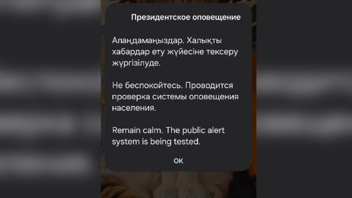  Скриншот El.kz 