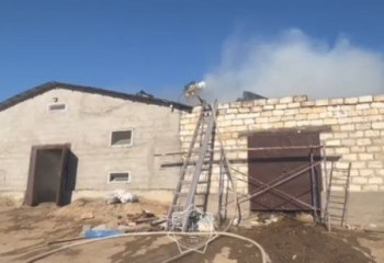 Қызылордада мал қорадағы ірі өрт сөндірілді