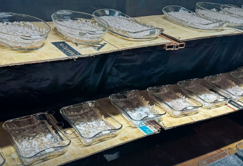 Алматыда жеке үйлердің бірінен есірткі лабораториясы анықталды