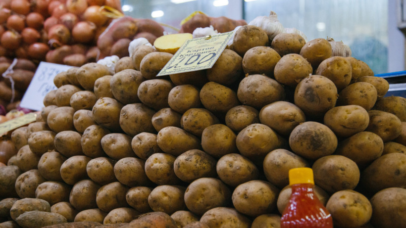  ©El.kz/Жалғасбек ТОҚТАМЫСОВ 