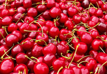 Қазақ-қырғыз шекарасында 40 тоннаға жуық бұзылған шие анықталды