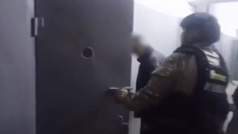  Видеодан кадр 