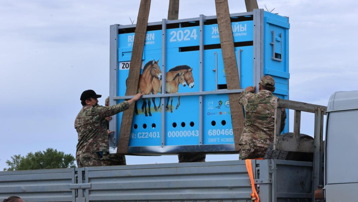  Қостанай облысының әкімдігі 