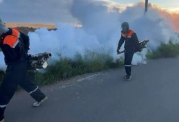 Астанада масалар мен шіркейлерге қарсы дезинсекциялық жұмыс жүріп жатыр