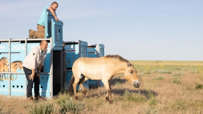  Ұлыбритания елшілігі 