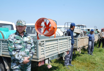 Түркістан облысында марокко шегірткесіне қарсы қосымша химиялық өңдеу жұмыстары күшейтілді