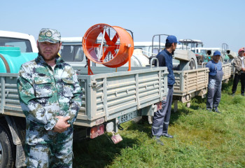 Дополнительные работы по химической обработке марокканской саранчи усилили в Туркестанской области