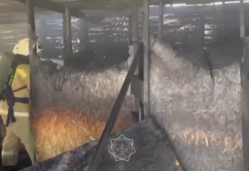 Комната страха в Кызылорде сгорела изнутри