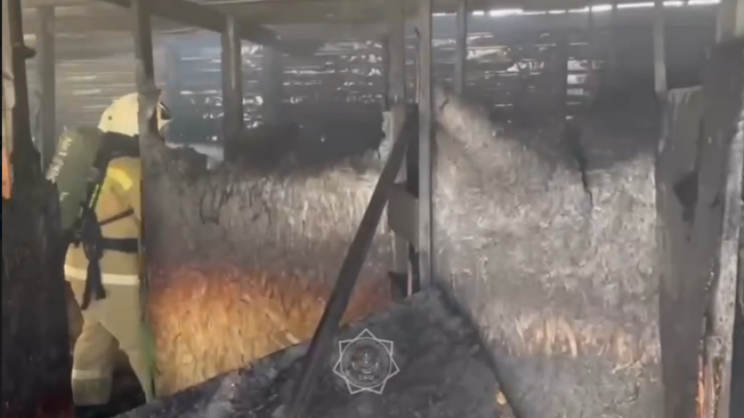  кадр из видео 