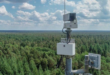 Дети устроили лесной пожар в Павлодарской области