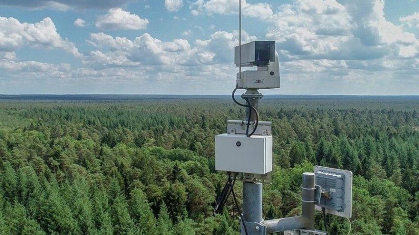  ©  Комитет лесного хозяйства и животного мира 