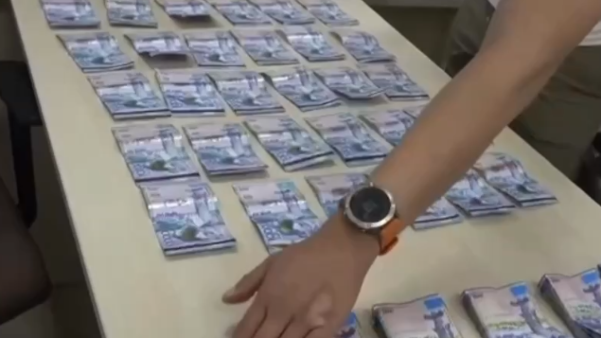  Видеодан кадр 