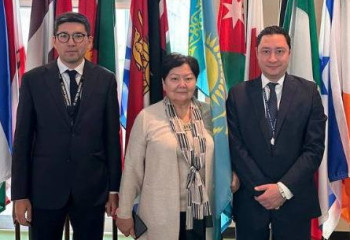 Қазақстан өкілі алғаш рет БҰҰ Әйелдерге қатысты комитетке сайланды