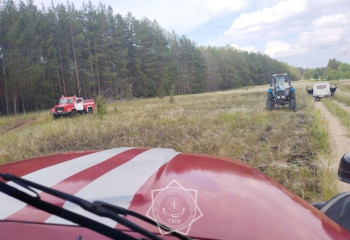 Абай облысында орман өртіне кінәлі адам жазаланды