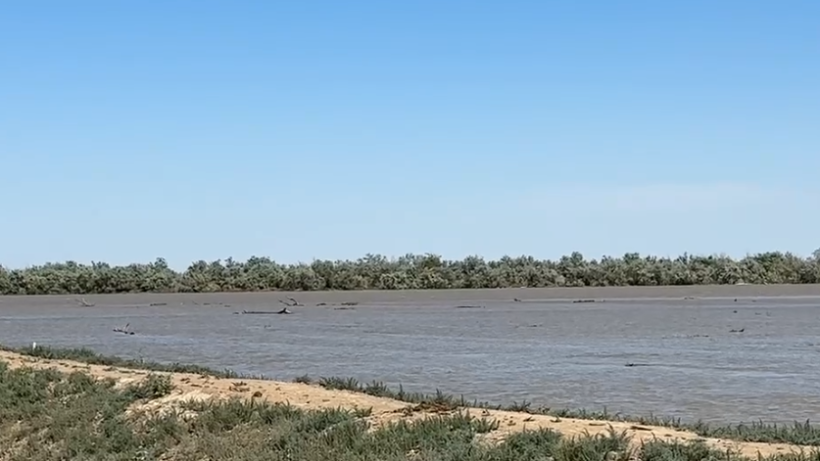  Видеодан кадр 