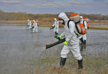 В Павлодарской области продолжается уничтожение комаров и мошек
