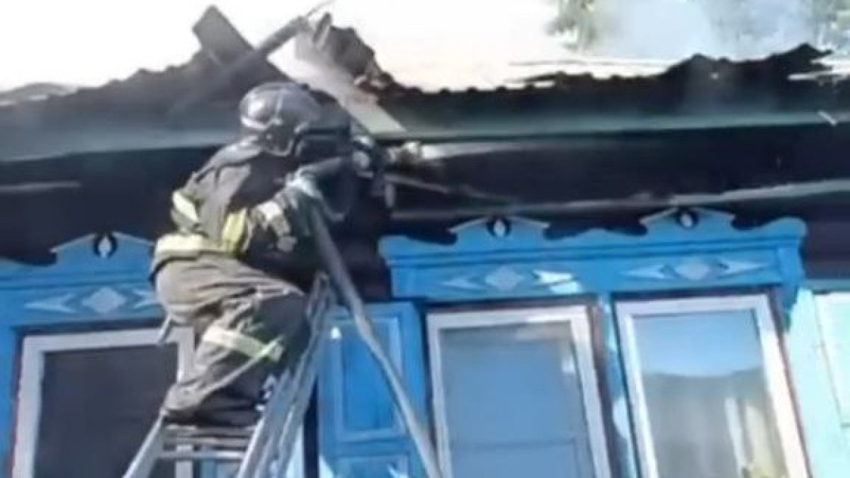  Видеодан кадр 