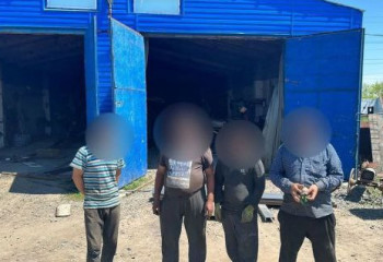 Павлодарда заңсыз еңбек етіп жүрген 81 шетелдік ұсталды