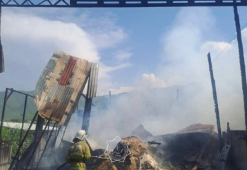 Қарасай ауданында 4 тонна жүгері жанып кетті