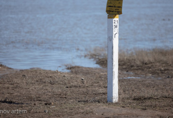 Уровень реки Жайык все еще превышает критическую отметку