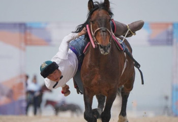 Теңге ілуден халықаралық федерация құрылды