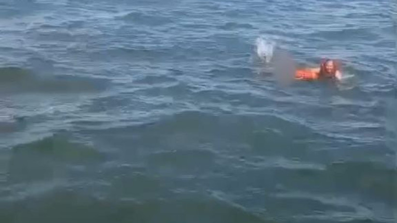  Видеодан кадр 