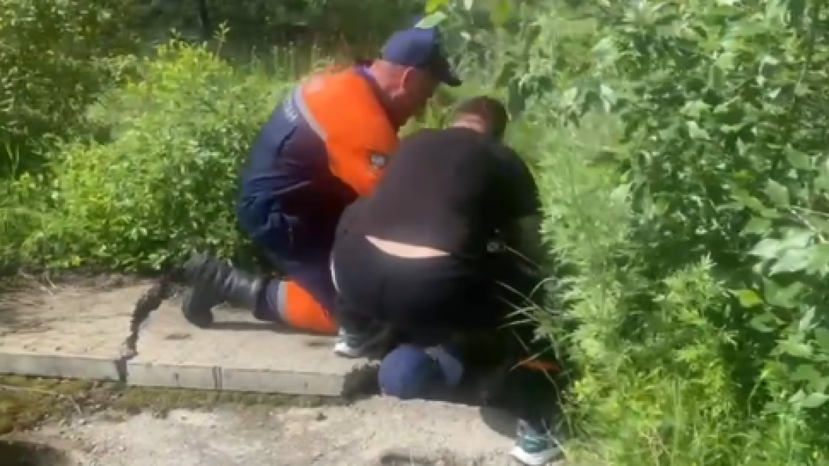  Кадр из видео 