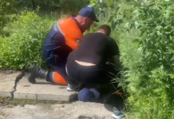 «Иди к маме»: спасатели вытащили из-под земли маленького жеребенка