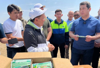 Айдарбек Сапаров: Шегірткеге қарсы іс-шараларға 2500-ден астам адам жұмылдырылды