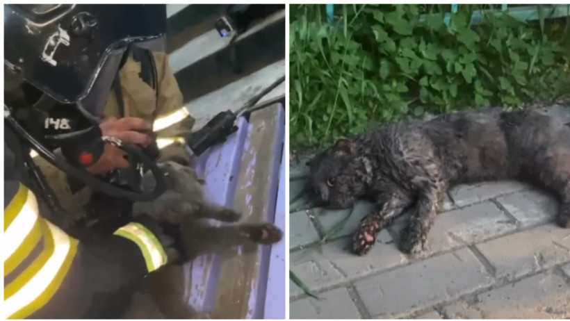  Кадры из видео 