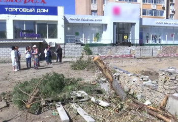 Скандал в Актобе: десятки деревьев уничтожены за одну ночь
