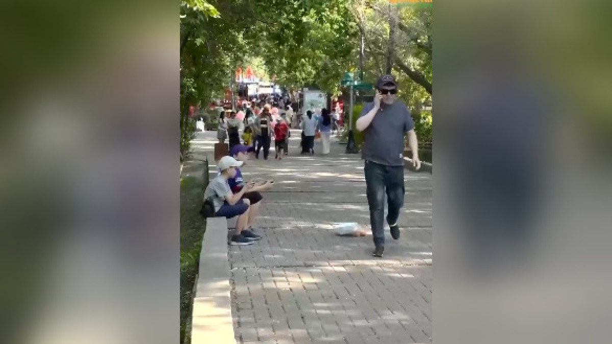  Кадр из видео 