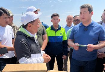 Шегірткеге қарсы күрес шараларына 2,5 мыңнан астам адам жұмылдырылды