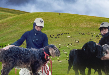 «Еділбай қойын әлемге танытқым келеді». Жас шопан шаруашылығын қалай дөңгелетіп отыр?