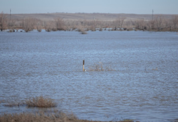 Трагедия в Актобе: выпускник школы утонул в реке Каргала
