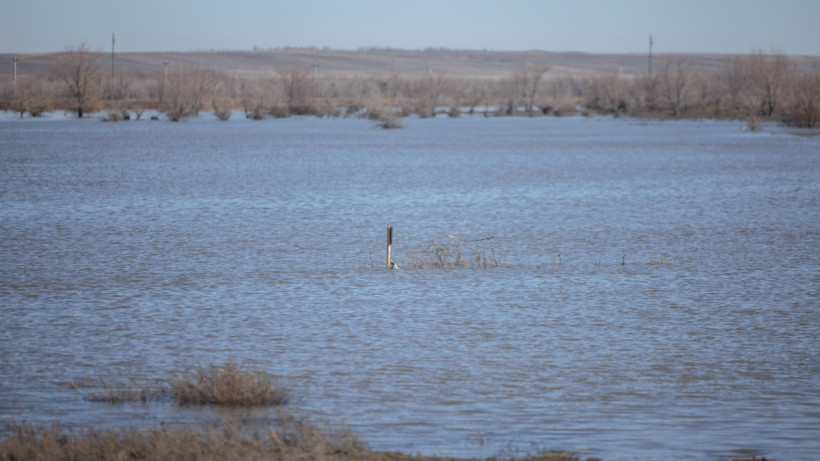  ©El.kz/Артем ЧУРСИНОВ 